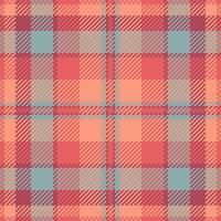 Textile design of textured plaid. Checkered fabric pattern swatch for shirt, dress, suit, wrapping paper print, invitation and gift card. vector