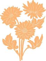 orange flowers on a white background vector