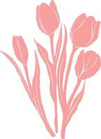 pink tulips on a white background vector
