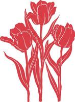 three red parrot tulips on a white background botanical icon vector