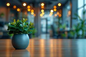 A modern office interior with stylish decor features a lush green plant as the main focus, complemented by warm lighting bokeh in the backdrop, creating a professional and inviting workspace photo