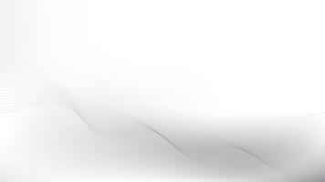 Abstract white and gray color, modern design stripes background with curve lines, wavy pattern. illustration. vector