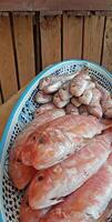 Fresh red mullets fishes stacked in a row on ice trays at the market stock instant prints background high quality downloads photo