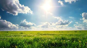 Sunny Meadow Landscape photo