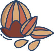 Badam and walnut linear color illustration vector