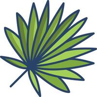 Cabbage palmetto Leaf linear color illustration vector
