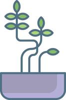 Sophora Little Baby plant linear color illustration vector