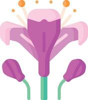 alstroemeria illustration design vector