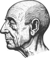 elderly man head single head with engraving style vector