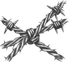 barbed wire with engraving style black color only vector