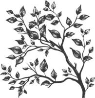 branches with engraving style black color only vector