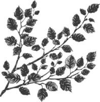 branches with engraving style black color only vector