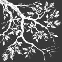 branches with engraving style black color only vector