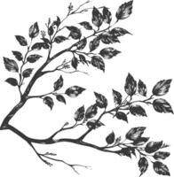 branches with engraving style black color only vector