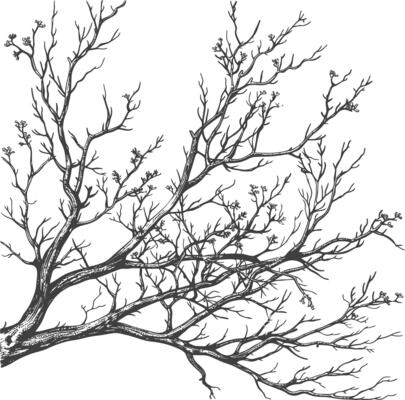 branches with engraving style black color only