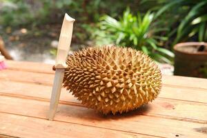 durian fruit on the wood table, closeup of photo