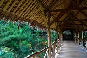 The atmosphere Wooden bridge in Lerep Ungaran Semarang Art Village photo