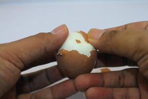 peeling egg shells, eggs with peeled shells photo