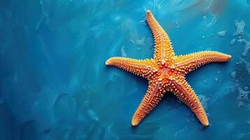 Starfish on a textured blue background. photo