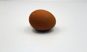 eggs on a white background photo
