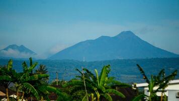 View of a mountain and green rice fields in the morning photo