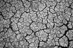 Cracked Dry Earth Texture in Black and White Highlighting Drought and Environmental Issues photo