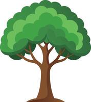tree illustration flat design art vector