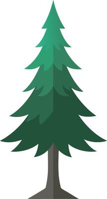 Coniferous forest tree illustration flat design