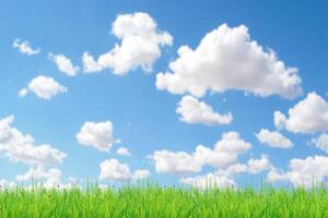 Bright Blue Sky with Fluffy White Clouds Over a Green Grass Field on a Sunny Day photo