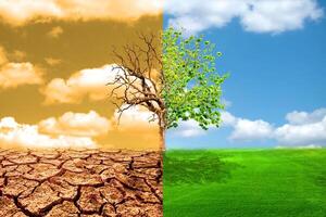 Dramatic Contrast of Climate Change Depicted by a Split Landscape with a Barren Desert and Lush Green Field photo