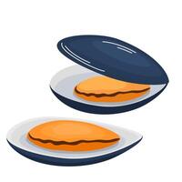 Mussels in shells. Open oysters, sea food. Clams in doodle style. Fresh mollusk, seafood delicacy. Flat illustration isolated on white background vector
