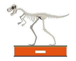 Tyrannosaurus rex fossil 2D linear cartoon object. Dinosaur exhibit isolated line element white background. Prehistoric predator exposition. Natural history museum color flat spot illustration vector