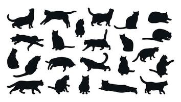 Collection of cat silhouettes isolated on white background. Different cat poses. Cat is lying, sitting, playing, walking, standing, stretching. illustration vector
