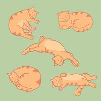 Sleeping ginger cat in different positions. Cute red tabby cat sleeps. Sleepy cat set. illustration vector