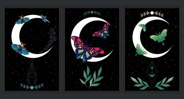 Set of celestial background with butterflies, stars and crescent moon. Space art posters with butterflies. illustration vector