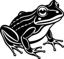 frog illustration on white background eps 10 vector