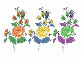 Set floral botanical in three color variation. Illustration isolated on white background. vector