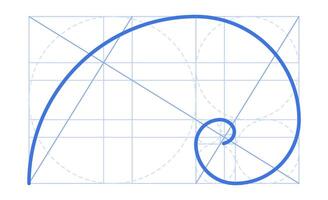 Golden ratio template. Divine proportions, golden spiral, Fibonacci array, Fibonacci numbers. Geometry harmony and balance Isolated template. vector