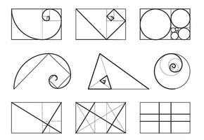 Golden ratio template outline set. Logarithmic spiral in rectangle frame fracted on lines, squares and circles. Symmetry proportions . vector