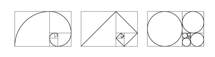 Golden ratio template. Harmony proportions outline template composition balance. Grid fracted on squares, circles and with logarithmic spiral vector