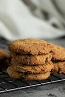 Freshly baked chocolate chip cookies. photo