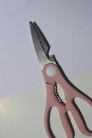 sharp kitchen knives used for cooking, knife set of various shapes and uses put together on a white background photo
