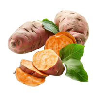 Sweet potato Root vegetables on Transparent Background png