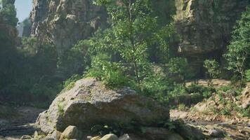 A massive rock surrounded by lush greenery in the wilderness. mountain path video