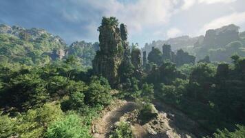 A dense forest with towering rocks and majestic trees video
