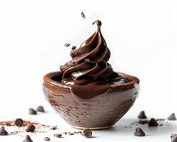 chocolate ice cream with chocolate chips in a bowl photo