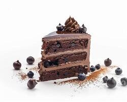 a piece of chocolate cake with blueberries photo