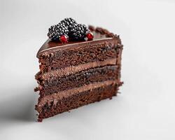 a piece of chocolate cake with blackberries on top photo