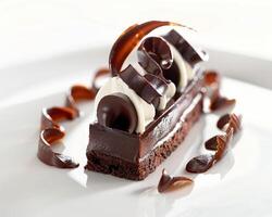 a piece of chocolate cake with chocolate icing and chocolate sauce photo