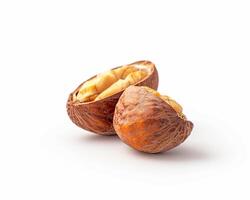 nut shell and nut on white background photo